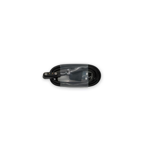 SW-181/SWK-110 Charger
