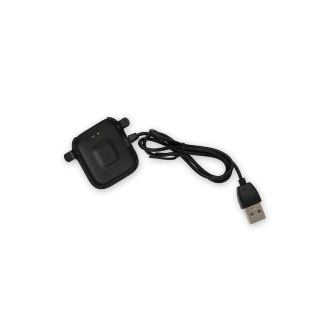 SW-161 Charger